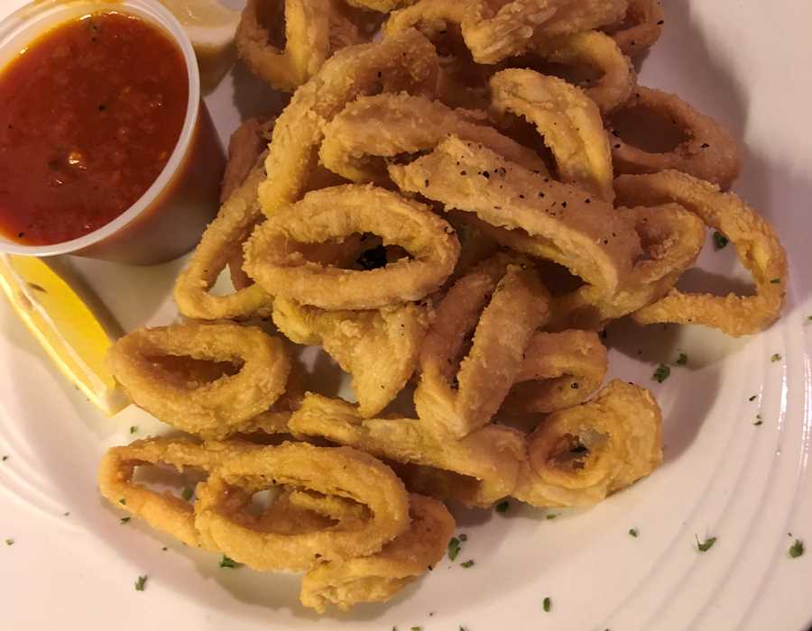 calamari with marinara sauce